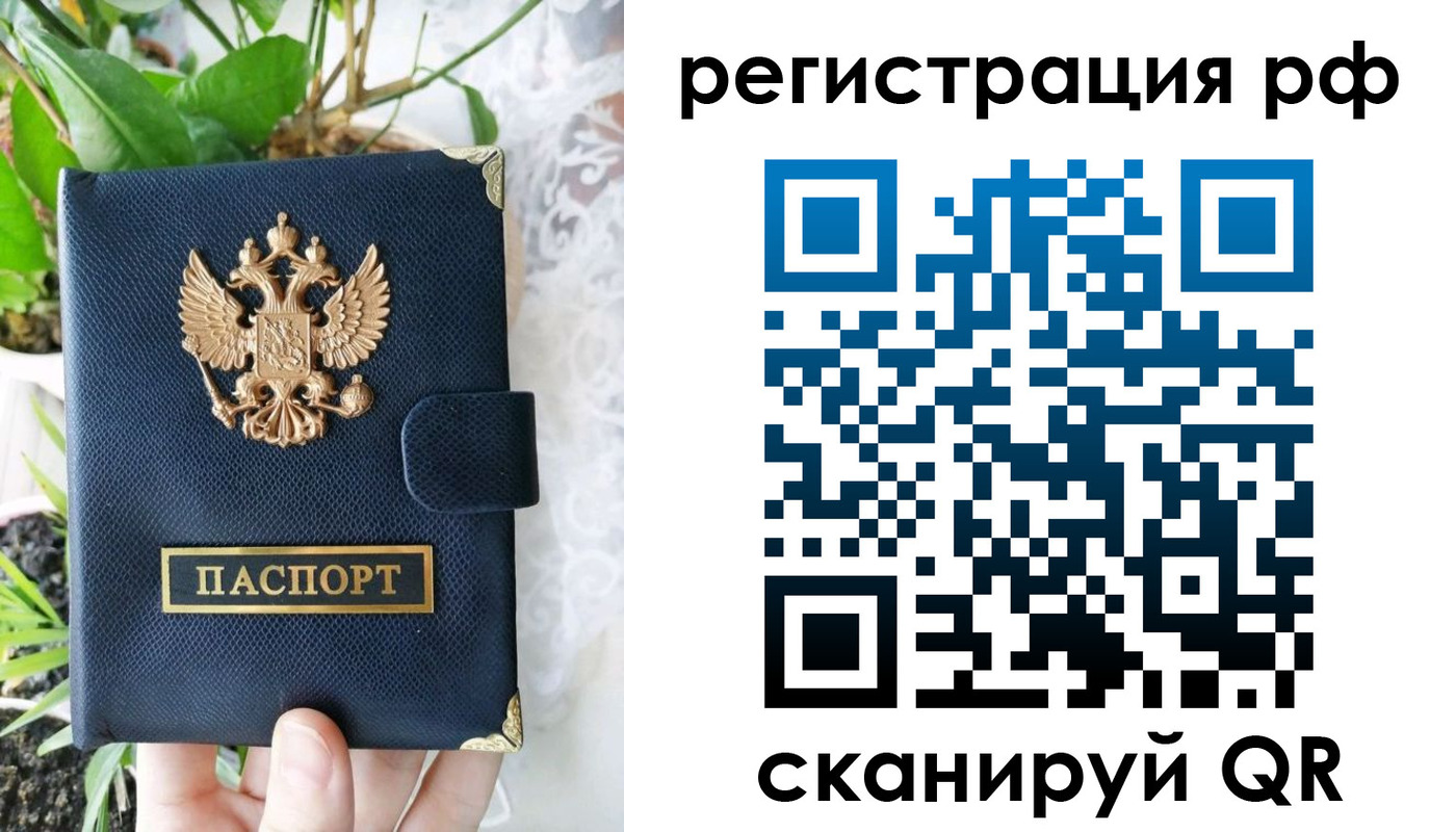 прописка поиск в Светлограде